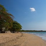 Tamarindo